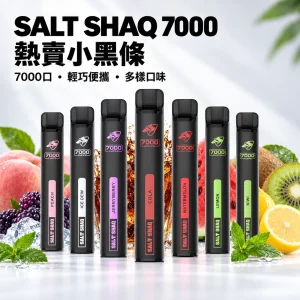 鯊克 SALT SHAQ 小黑條 一次性電子煙｜7000口 可充電